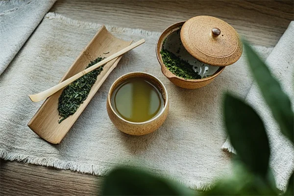 クラゲ多肉植物の作り方：初心者でも3ステップで作れる