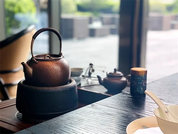 スターフルーツの収穫はいつ？家庭菜園のプロが教える完熟の見極め方