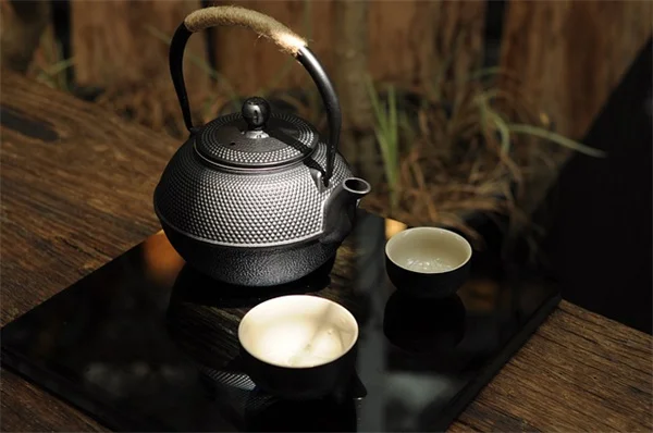 鉢植えのヤシに肥料はいらない？3年続けた私が気づいた、与え方のコツと間違い